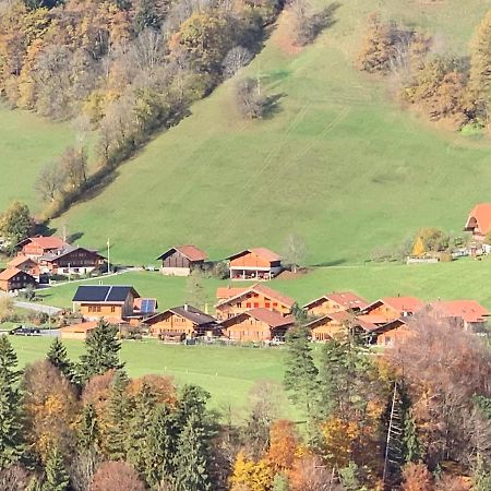 Chalet Park Apartment Mit Sauna Hamam Diemtigen Zewnętrze zdjęcie