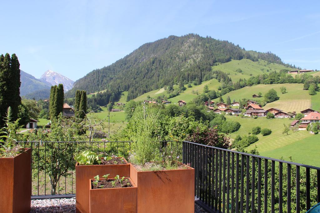 Chalet Park Apartment Mit Sauna Hamam Diemtigen Pokój zdjęcie