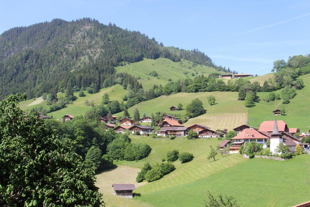 Chalet Park Apartment Mit Sauna Hamam Diemtigen Pokój zdjęcie