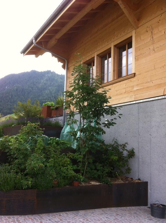 Chalet Park Apartment Mit Sauna Hamam Diemtigen Pokój zdjęcie