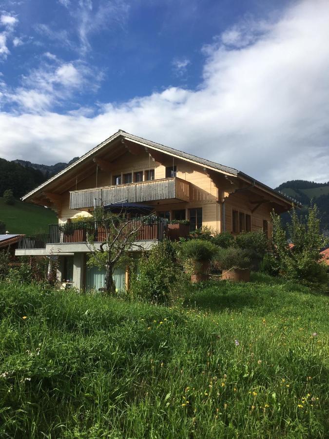 Chalet Park Apartment Mit Sauna Hamam Diemtigen Zewnętrze zdjęcie