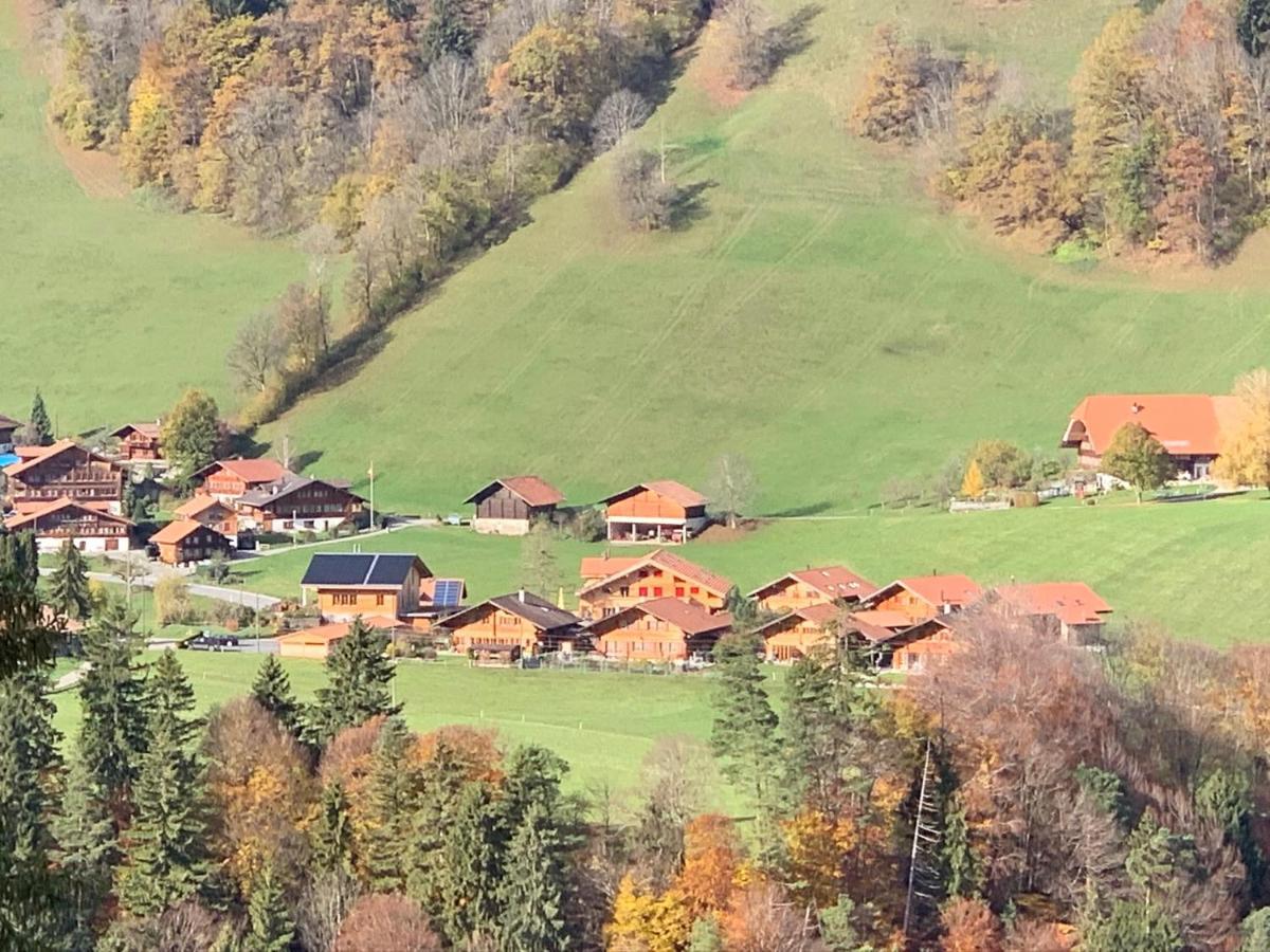 Chalet Park Apartment Mit Sauna Hamam Diemtigen Zewnętrze zdjęcie